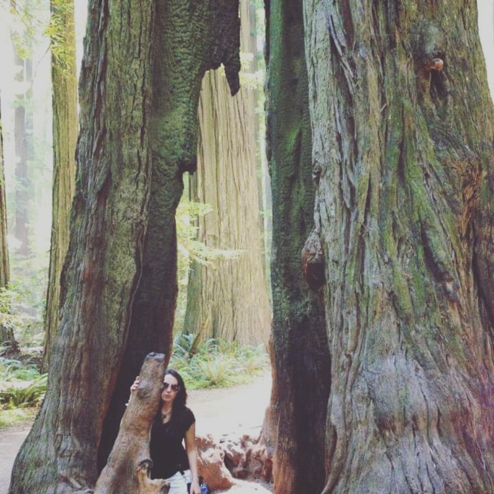 Meet your Posher, Wendy